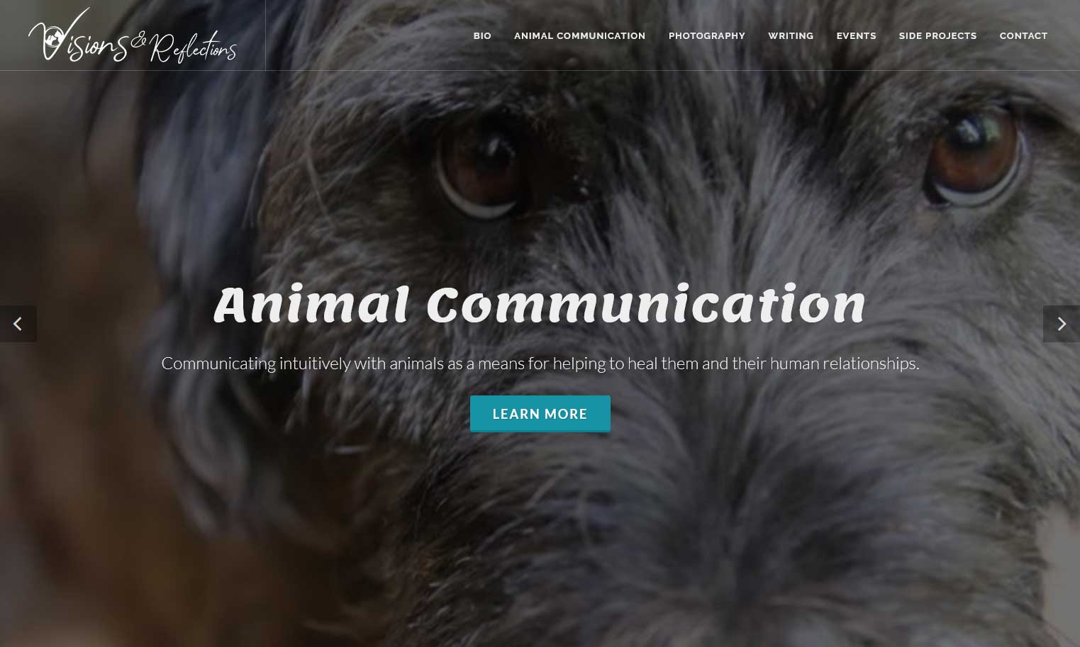 Visions and Reflections